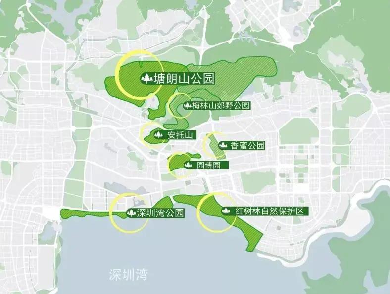 深圳紅樹林濕地博物館設計評審揭曉插圖(6)