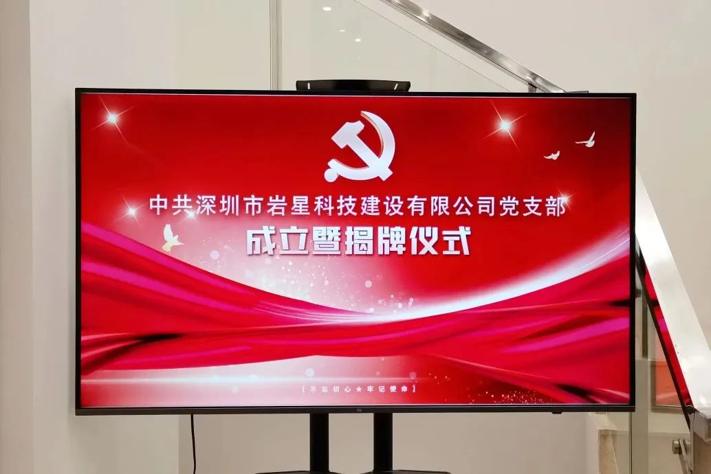 巖星之聲 | 黨建引領再出發(fā),巖星科建黨支部正式揭牌成立!插圖 圖片